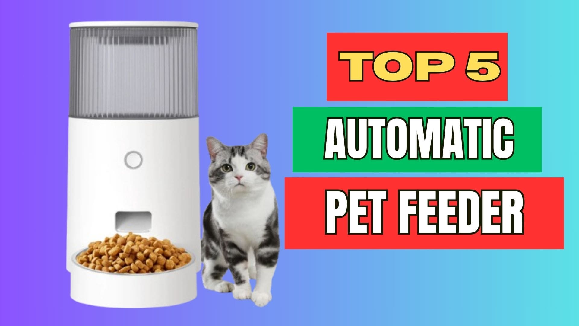 Best Automatic Pet Feeder