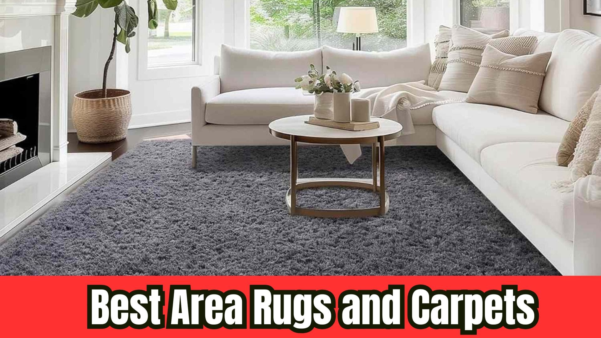 Best Area Rugs and Carpets